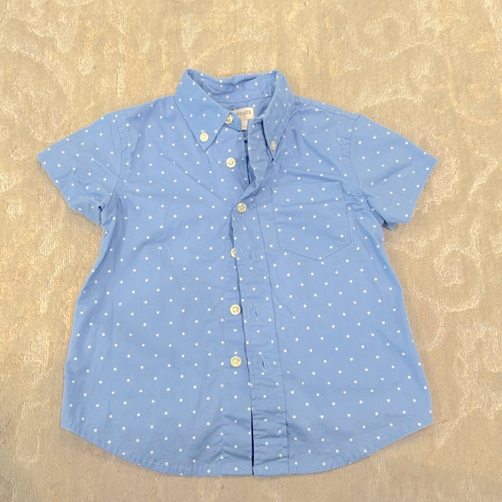 JCREW KIDS CREWCUT 2T button shirt